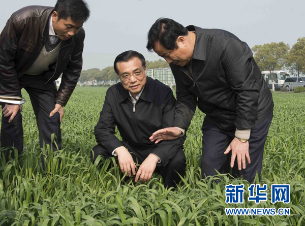3月27日至29日,中共中央政治局常委、国务院总理李克强先后到江苏、上海考察。这是3月28日,李克强在江苏省常熟市田娘家庭农场察看麦苗长势。新华社记者 李学仁